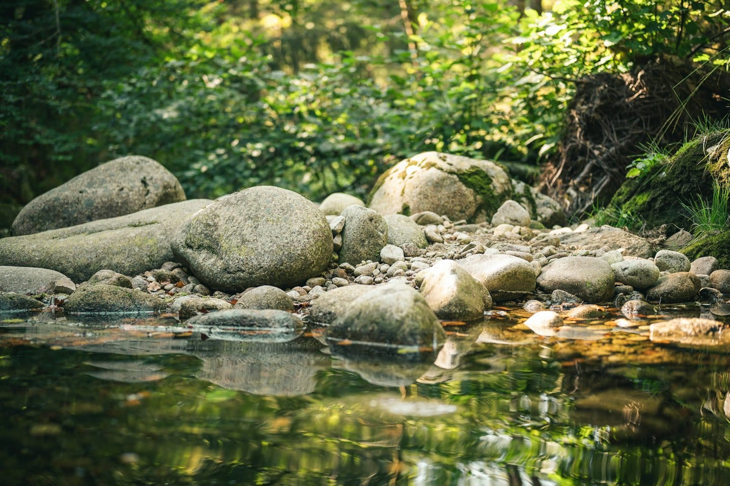 Agua clara fluye sobre rocas musgosas lisas en un bosque.